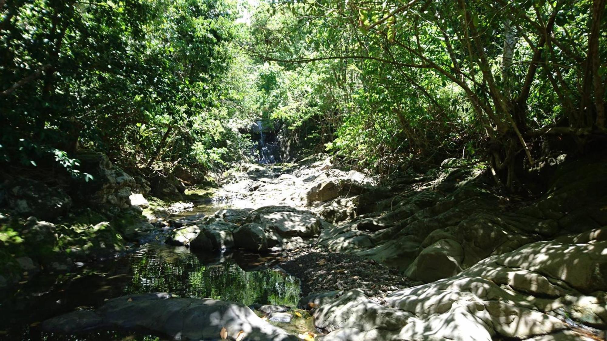 Awmony'Kaz, Gite A Trois-Rivieres Guadeloupe Bagian luar foto