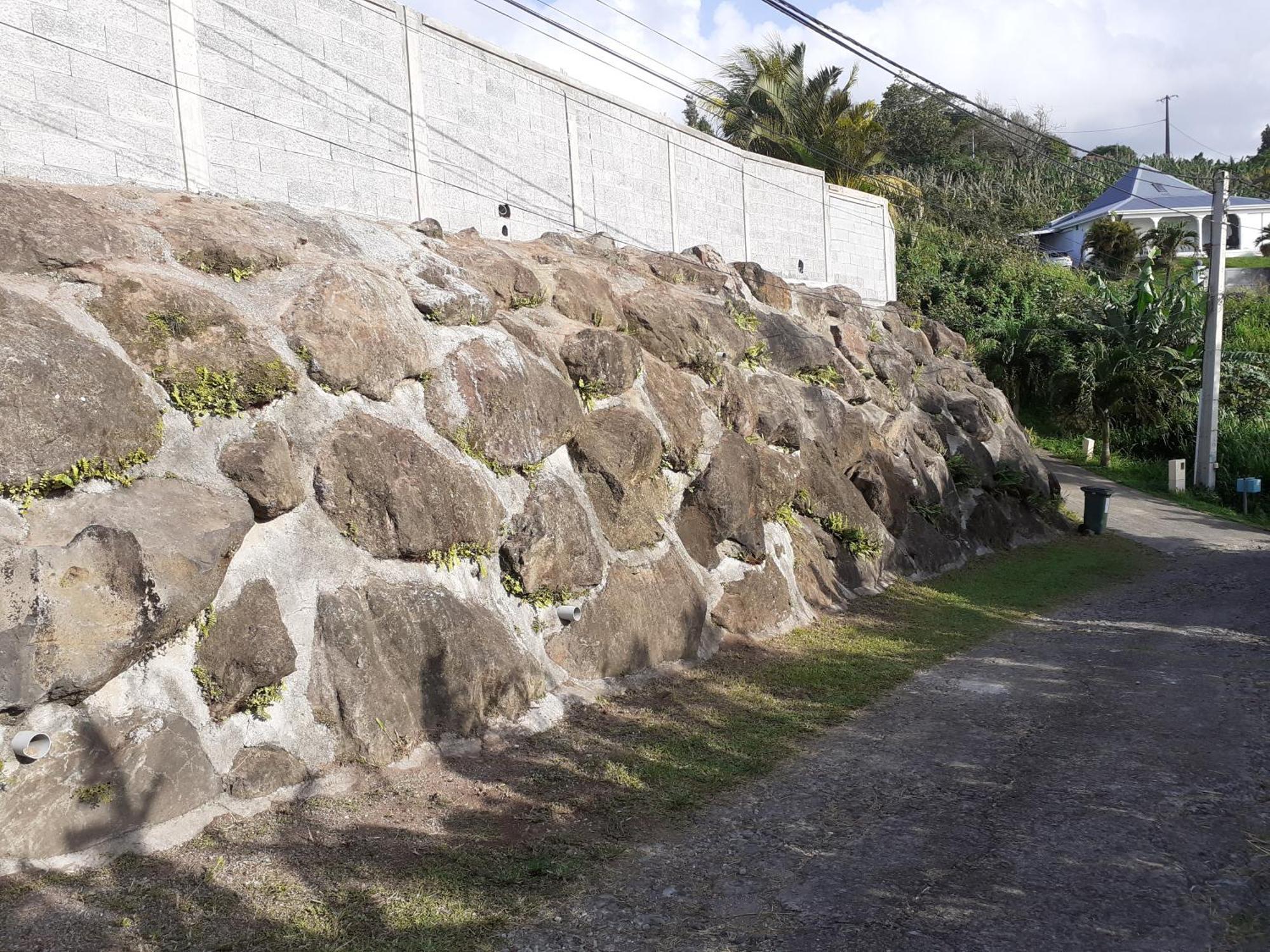Awmony'Kaz, Gite A Trois-Rivieres Guadeloupe Bagian luar foto