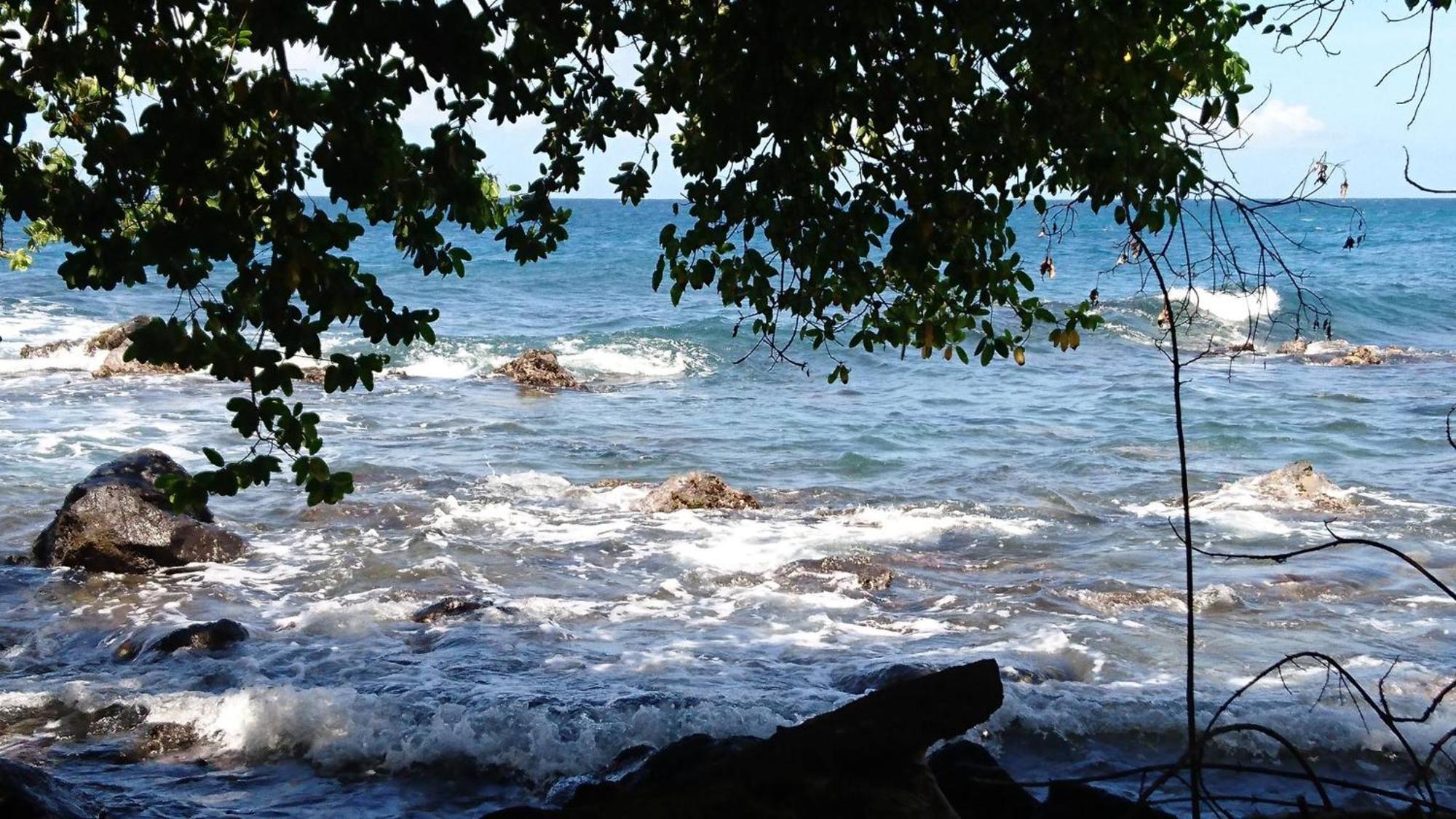 Awmony'Kaz, Gite A Trois-Rivieres Guadeloupe Bagian luar foto