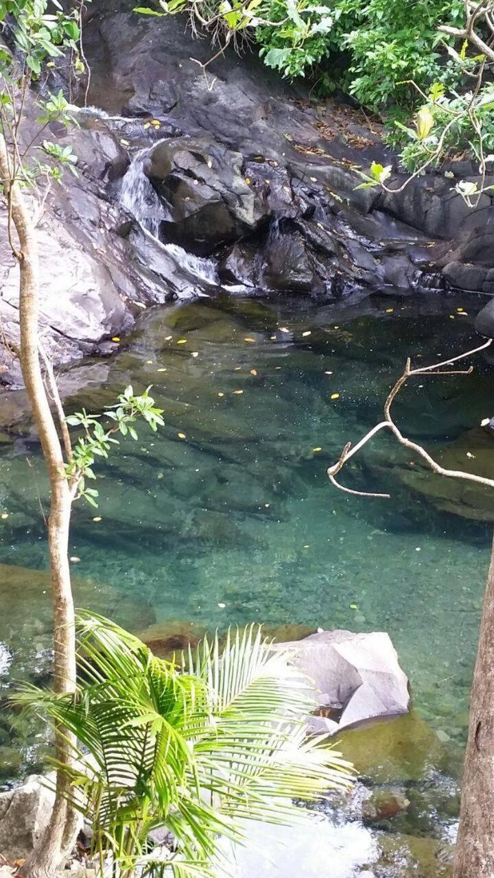 Awmony'Kaz, Gite A Trois-Rivieres Guadeloupe Bagian luar foto